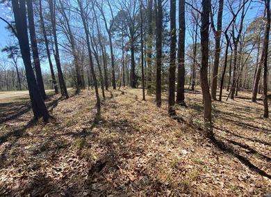 2.59 ACRES OF UNRESTRICTED PROPERTY ON TOLEDO BEND LAKE. JUST - photo 3