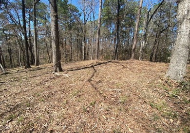 2.59 ACRES OF UNRESTRICTED PROPERTY ON TOLEDO BEND LAKE. JUST - photo 4