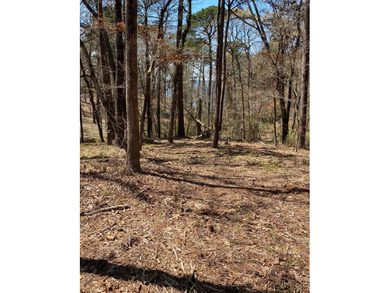 2.59 ACRES OF UNRESTRICTED PROPERTY ON TOLEDO BEND LAKE. JUST - photo 5