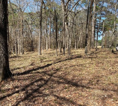 2.59 ACRES OF UNRESTRICTED PROPERTY ON TOLEDO BEND LAKE. JUST - photo 6