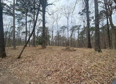 2.59 ACRES OF UNRESTRICTED PROPERTY ON TOLEDO BEND LAKE. JUST - photo 7
