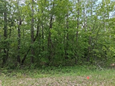 (private lake, pond, creek) Lot For Sale in Mancelona Michigan