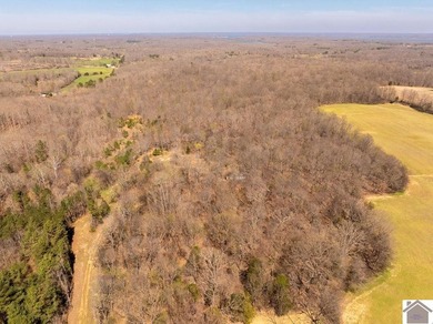 Tucked away in Fairdealing, this 18.77 acre property offers a - photo 2