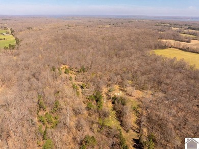 Tucked away in Fairdealing, this 18.77 acre property offers a - photo 4