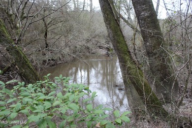 (private lake, pond, coastal) Acreage Sale Pending in Bogue Chitto Mississippi