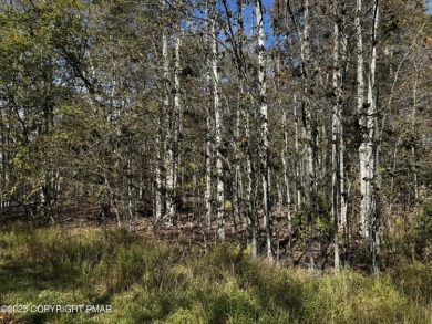 Lake Naomi Lot For Sale in Pocono Pines Pennsylvania