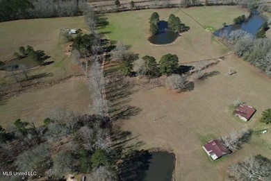 (private lake, pond, coastal) Acreage For Sale in Magnolia Mississippi