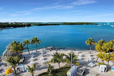 ''The Pulse of Islamorada'' ... Iconic Islamorada Restaurant & - photo 15
