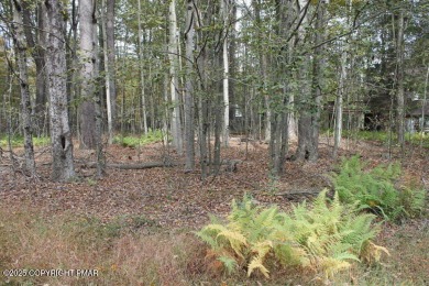 Arrowhead Lake Lot For Sale in Pocono Lake Pennsylvania