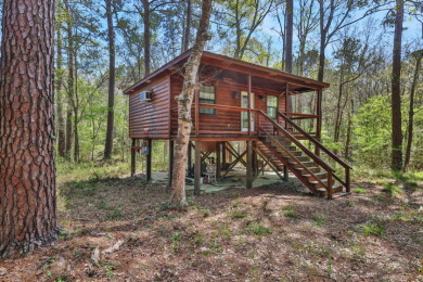 Retreat in Coldspring - 33 Acres - photo 13