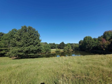 Lake Acreage For Sale in Piggott, Arkansas