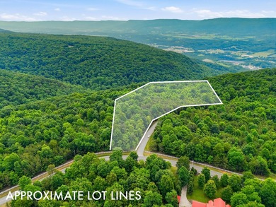 INVESTMENT GEM! Located in the Fredonia Mountain Nature Resort - photo 1