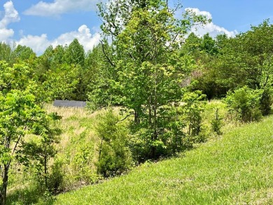 Lake Acreage For Sale in Hilham, Tennessee