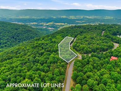 INVESTMENT GEM! Located in the Fredonia Mountain Nature Resort - photo 2