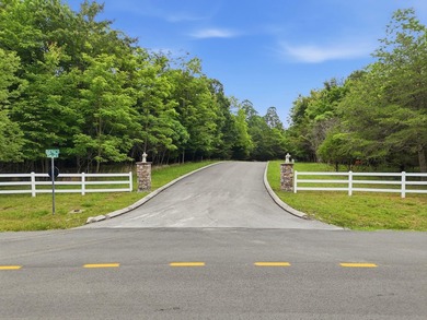 INVESTMENT GEM! Located in the Fredonia Mountain Nature Resort - photo 4