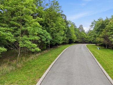 INVESTMENT GEM! Located in the Fredonia Mountain Nature Resort - photo 5