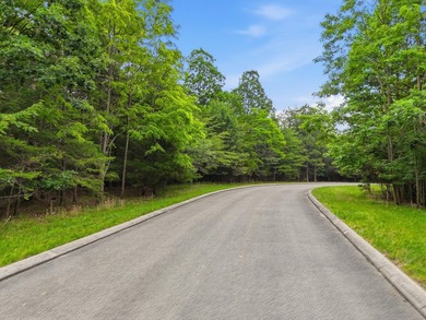 INVESTMENT GEM! Located in the Fredonia Mountain Nature Resort - photo 6