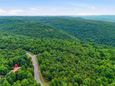 INVESTMENT GEM! Located in the Fredonia Mountain Nature Resort - photo 7