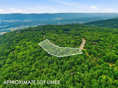 INVESTMENT GEM! Located in the Fredonia Mountain Nature Resort - photo 8