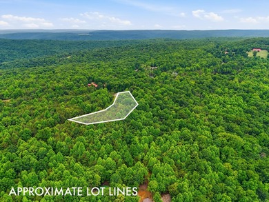 INVESTMENT GEM! Located in the Fredonia Mountain Nature Resort - photo 9