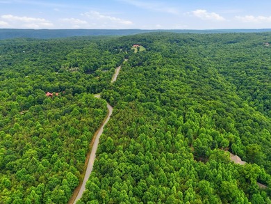 INVESTMENT GEM! Located in the Fredonia Mountain Nature Resort - photo 10