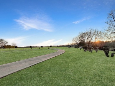 Immaculate Previous Commercial Venue! Pristine Paradise nestled - photo 6