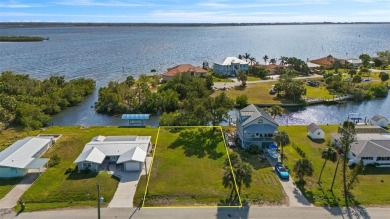 Peace River Lot For Sale in Punta Gorda Florida