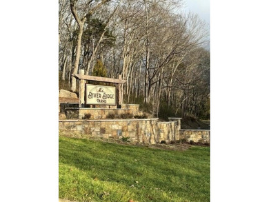 Stunning 0.95-acre property with beautiful mountain views in the - photo 13