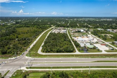 Up for sale is an assemblage of 5 parcels on the SW corner of - photo 14