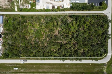 Up for sale is an assemblage of 5 parcels on the SW corner of - photo 15