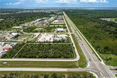 Up for sale is an assemblage of 5 parcels on the SW corner of - photo 17