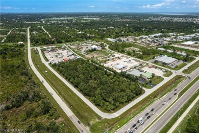 Up for sale is an assemblage of 5 parcels on the SW corner of - photo 20