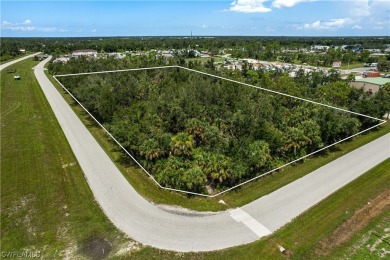 Up for sale is an assemblage of 5 parcels on the SW corner of - photo 23