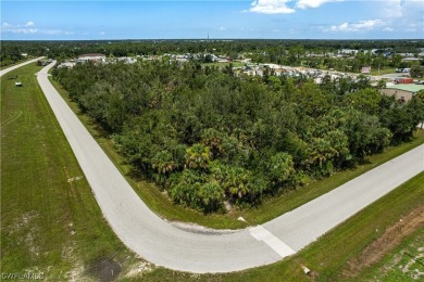 Up for sale is an assemblage of 5 parcels on the SW corner of - photo 24