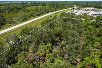 Up for sale is an assemblage of 5 parcels on the SW corner of - photo 27