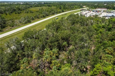 Up for sale is an assemblage of 5 parcels on the SW corner of - photo 28