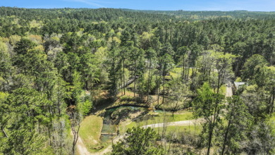 Retreat in Coldspring - 33 Acres - photo 4