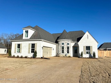 (private lake, pond, coastal) Home For Sale in Nesbit Mississippi