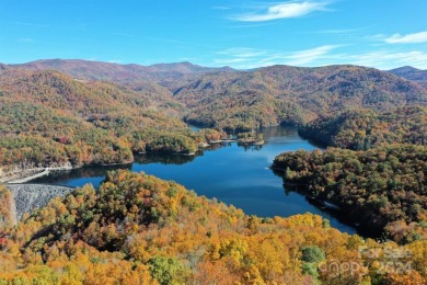 Bear Creek Lake Acreage For Sale in Tuckasegee North Carolina