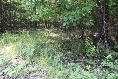 Mullett Lake Lot For Sale in Indian River Michigan
