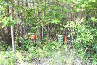 Lake Lot For Sale in Indian River, Michigan