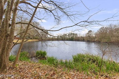 Tucked away on 3.6 acres this rustic charmer offers the perfect - photo 4