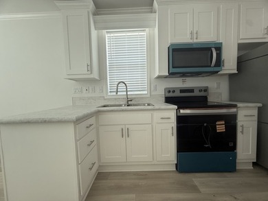 Brand New 2026 Park Model Home at River Vista RV 55+ Park Step - photo 4