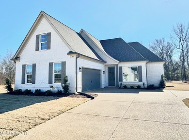 (private lake, pond, coastal) Home For Sale in Nesbit Mississippi