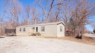 Lake Home For Sale in Springville, Tennessee