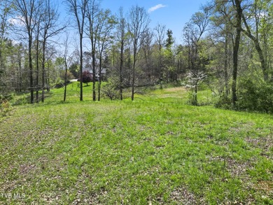 Build your dream home on this stunning .52-acre lot in the River - photo 11