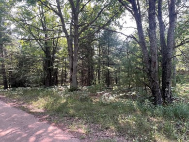 Lake Acreage For Sale in Roscommon, Michigan