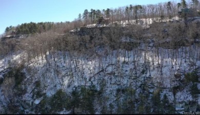 Lake Acreage For Sale in Heber Springs, Arkansas