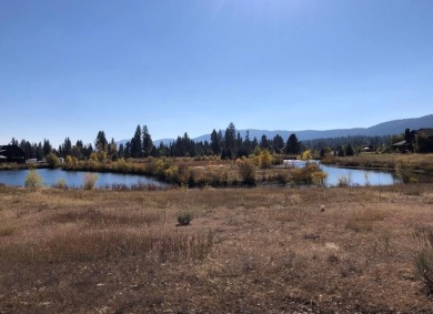 North Fork Payette River  Lot For Sale in Mccall Idaho