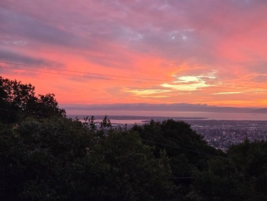 Come home to sweeping 180 degrees Bay views, perfect for sipping - photo 50